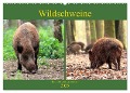 Wildschweine - Tiere aus unseren Wäldern (Wandkalender 2025 DIN A2 quer), CALVENDO Monatskalender - Arno Klatt