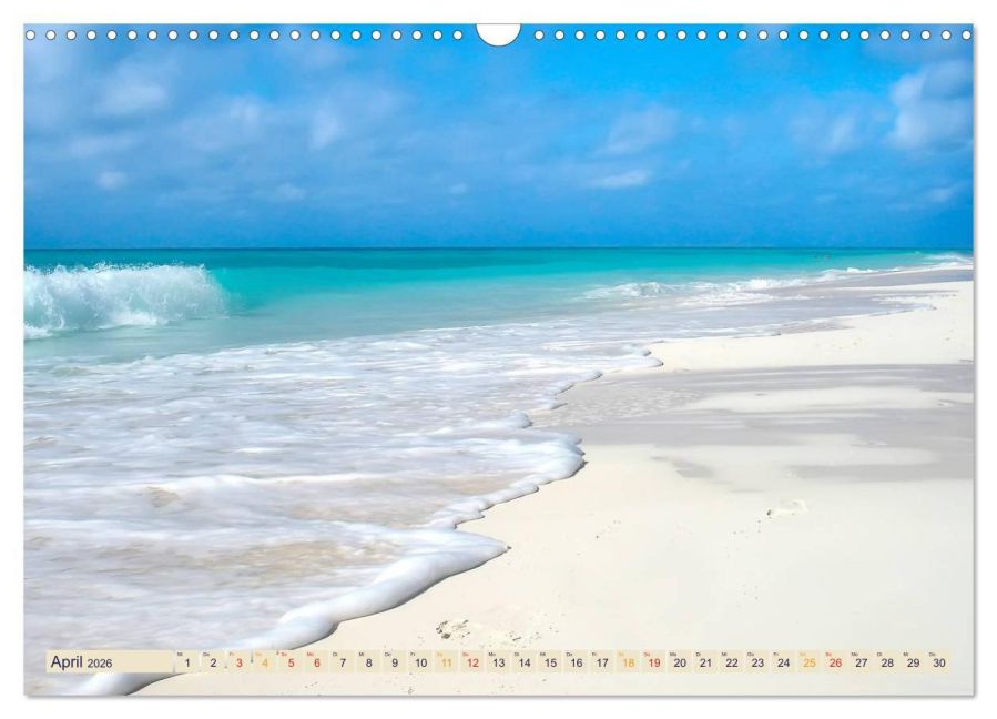 InsideView 9