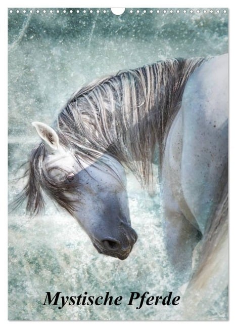 Mystische Pferde (Wandkalender 2026 DIN A3 hoch), CALVENDO Monatskalender - Studio Fotodreams. De