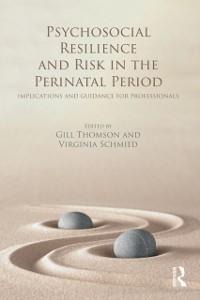 Psychosocial Resilience and Risk in the Perinatal Period - 