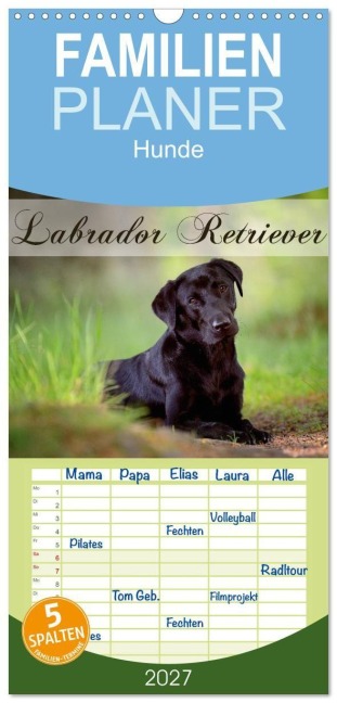 Familienplaner 2027 - Labrador Retriever mit 5 Spalten (Wandkalender, 21 x 45 cm) CALVENDO - Nicole Noack