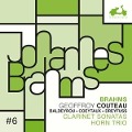 Cover-Bild zum Titel 'Clarinet Sonata,Horn Trio' von 'Nicolas/Coeytaux Baldeyrou'