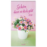 Schön, dass es dich gibt 2026 - Doro Zachmann