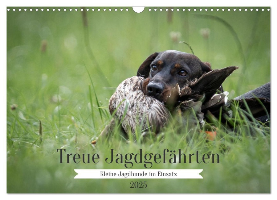 Treue Jagdgefährten - Kleine Jagdhunde im Einsatz (Wandkalender 2025 DIN A3 quer), CALVENDO Monatskalender - Yvonne Streib