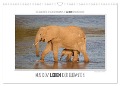 Emotionale Momente: Aus dem Leben der Elefanten. / CH-Version (Wandkalender 2025 DIN A3 quer), CALVENDO Monatskalender - Ingo Gerlach GDT