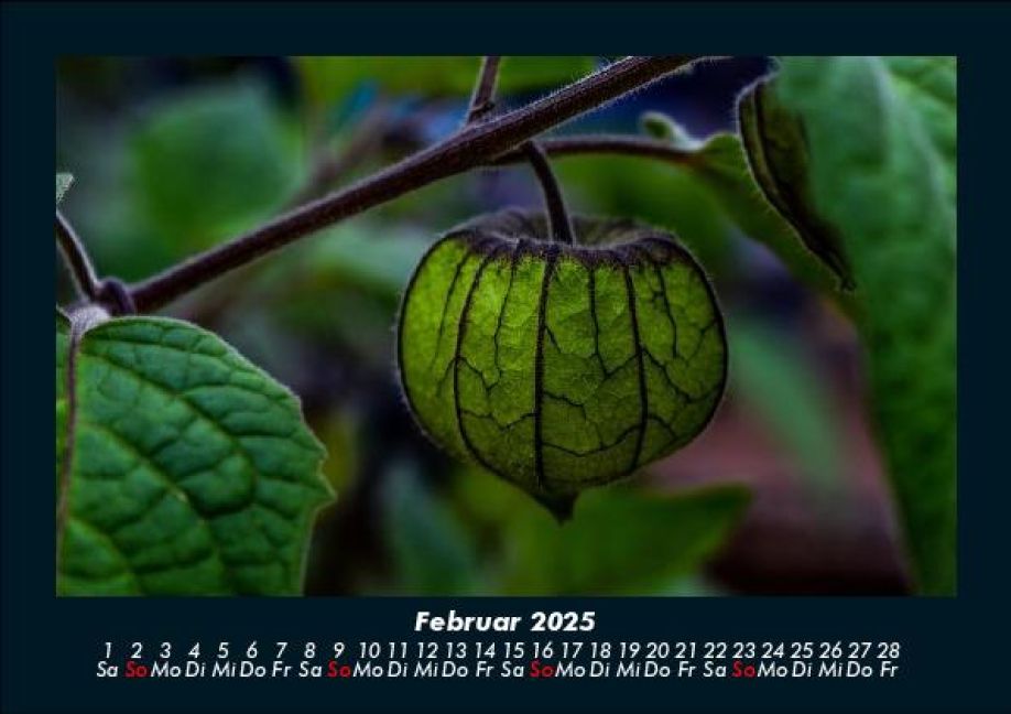 InsideView 6