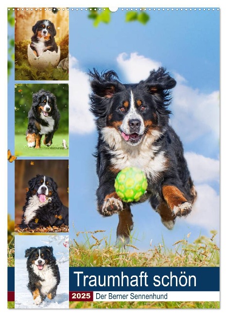Traumhaft schön - Der Berner Sennenhund (Wandkalender 2025 DIN A2 hoch), CALVENDO Monatskalender - Sigrid Starick