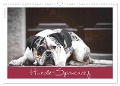 Hunde-Spruchreif (Wandkalender 2024 DIN A3 quer), CALVENDO Monatskalender - ©. Hundeimpressionen Anja Kiefer