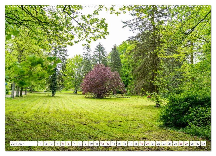 InsideView 10