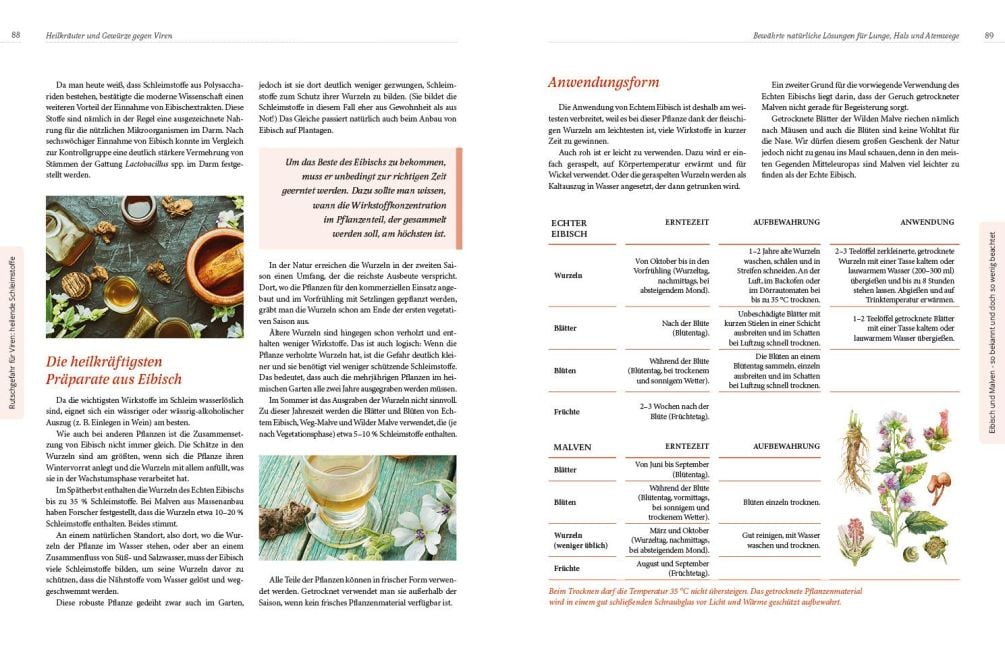 InsideView 10