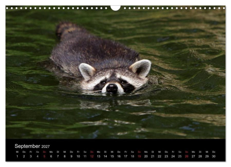 InsideView 14