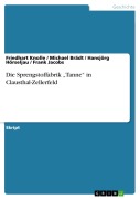 Cover-Bild zum Titel 'Die Spengstoffabrik "Tanne" in Clausthal-Zellerfeld' von 'Friedhart Knolle, Hansjörg Hörseljau, Michael Brädt, Frank Jacobs'