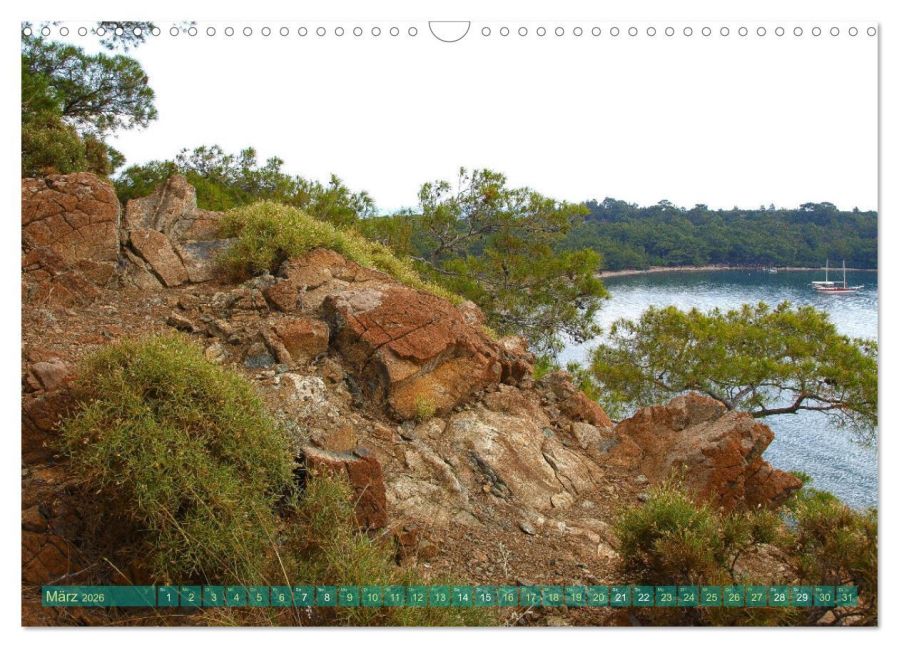 InsideView 8