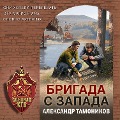 Cover-Bild zum Titel 'Brigada s zapada' von 'Aleksandr Tamonikov'