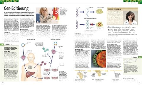 InsideView 8