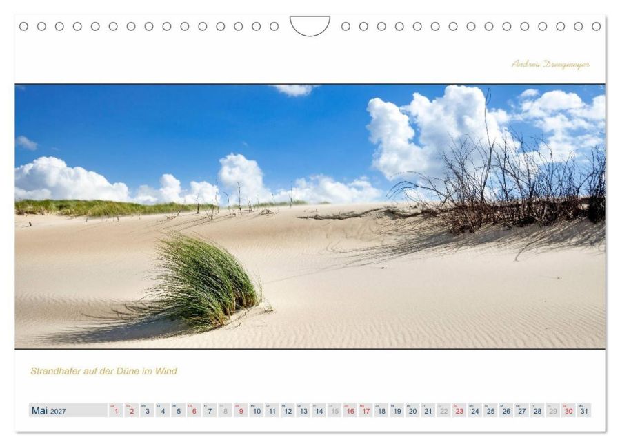 InsideView 10
