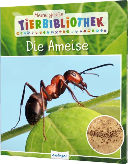 Meine große Tierbibliothek: Die Ameise - Axel Gutjahr