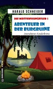 Cover-Bild zum Titel 'Die Meisterschnüffler I - Abenteuer in der Burgruine' von 'Harald Schneider'