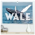 Wale - Die Riesen der Meere. (hochwertiger Premium Wandkalender 2024 DIN A2 quer), Kunstdruck in Hochglanz - Sf Sf