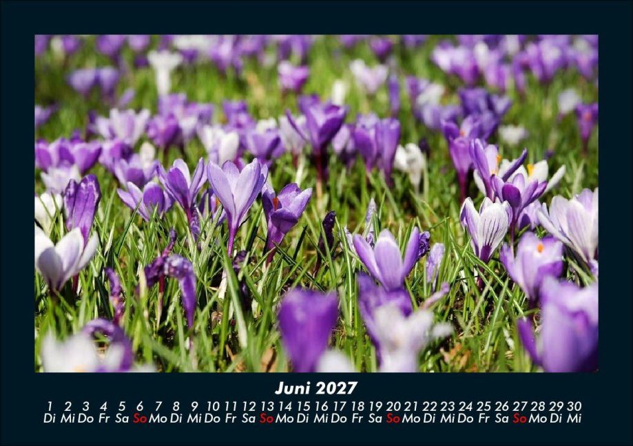 InsideView 10