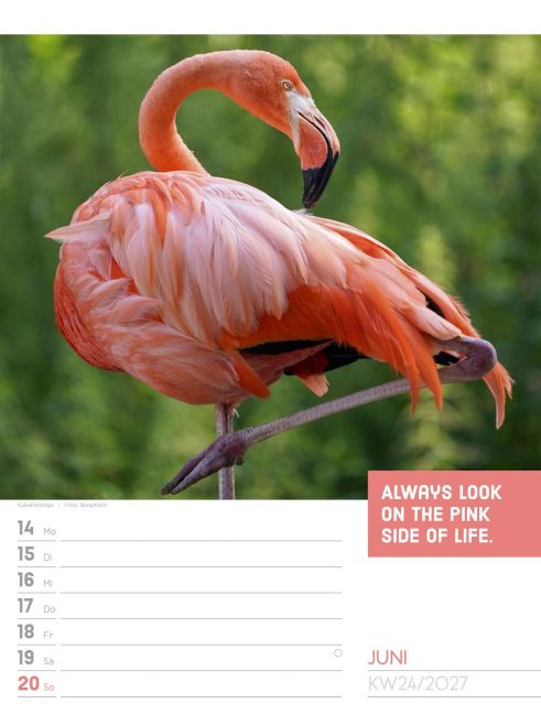 InsideView 28