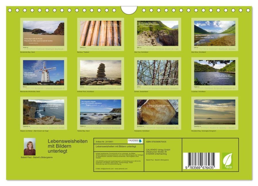 InsideView 5