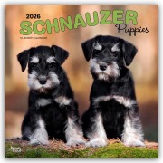 Schnauzer Puppies - Schnauzer Welpen 2026 - 16-Monatskalender - Browntrout Publishers