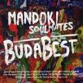 Cover-Bild zum Titel 'BudaBest' von 'Man Doki Soulmates'