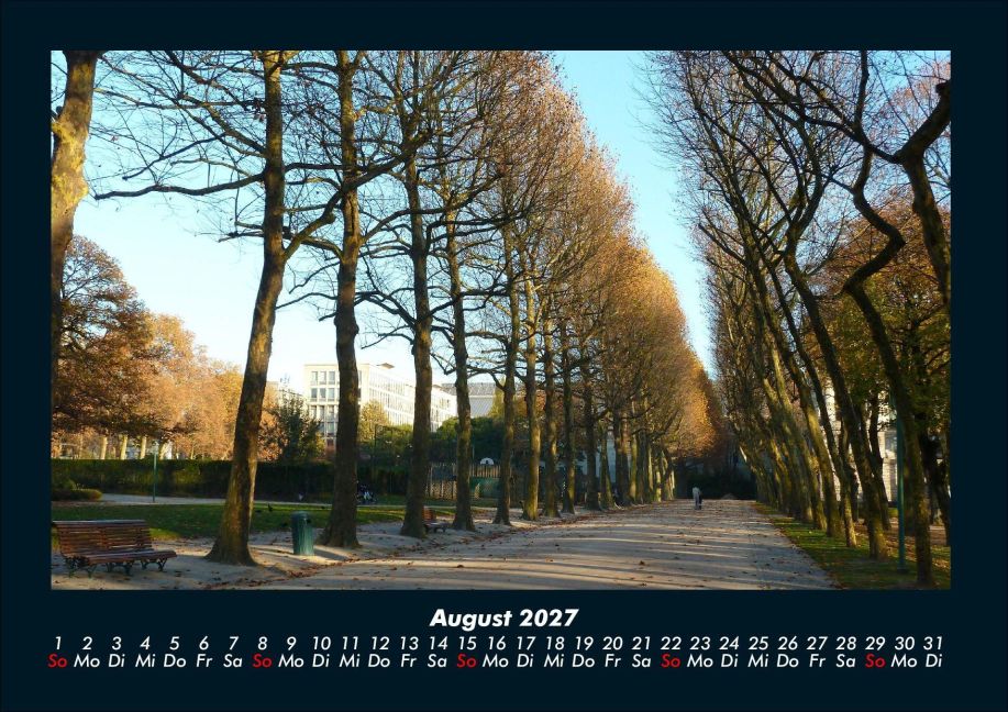 InsideView 12