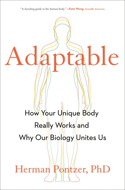 Adaptable - Herman Pontzer
