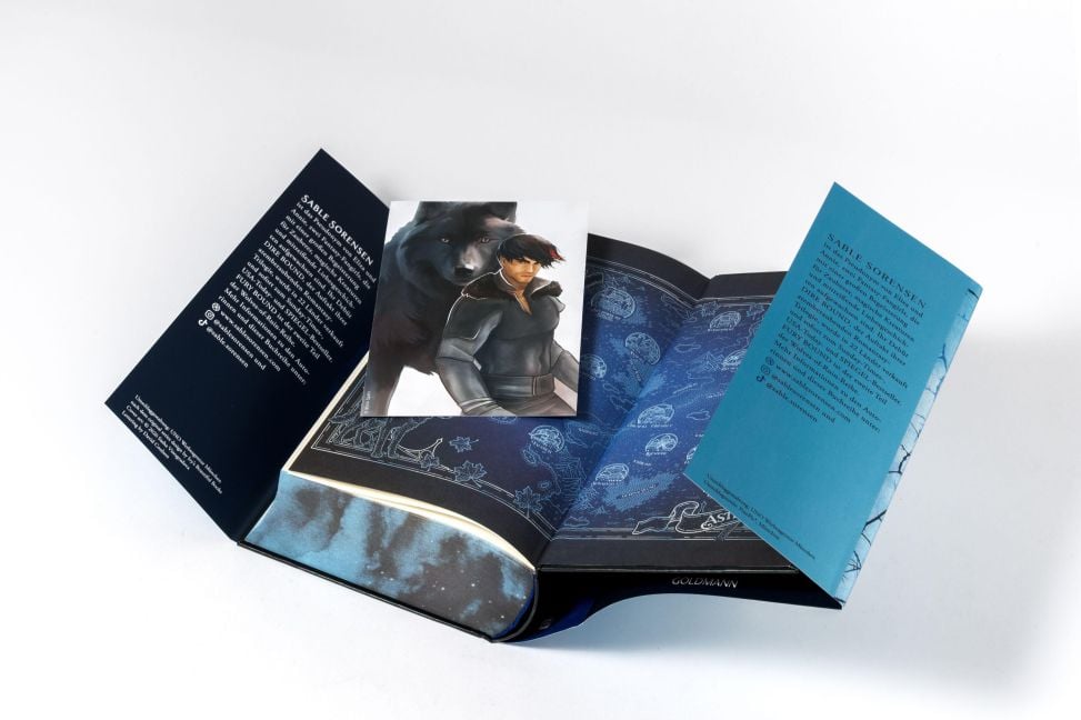 InsideView 6