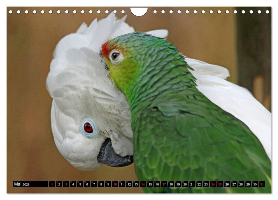 InsideView 10