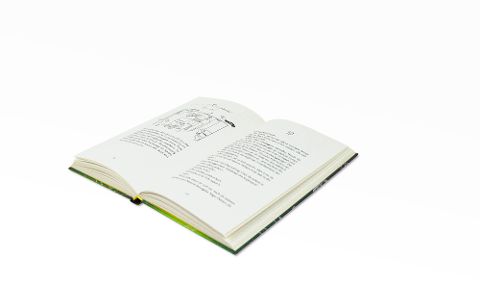 InsideView 5