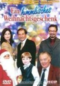 Cover-Bild zum Titel 'Ein himmlisches Weihnachtsgeschenk' von 'Marlies Ewald, Martin Holländer'