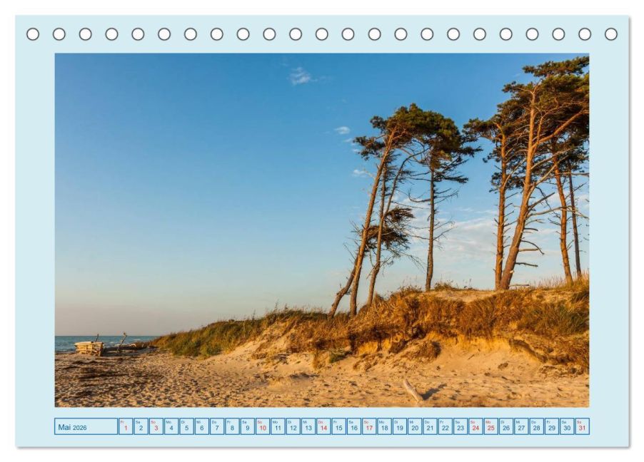 InsideView 10