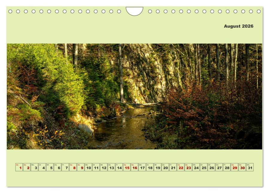 InsideView 13