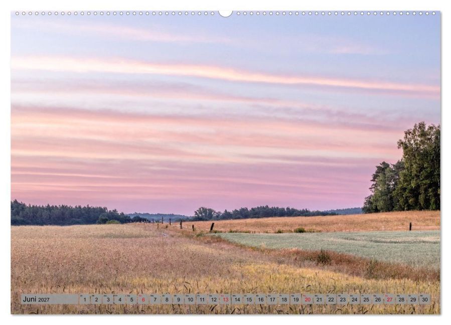InsideView 10