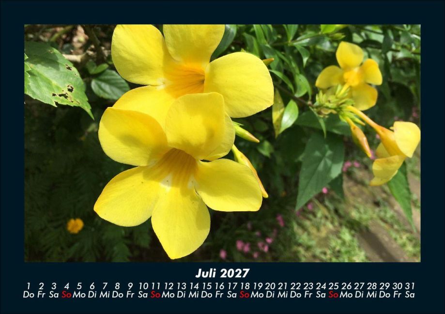InsideView 11