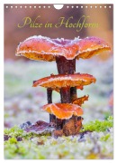 Cover-Bild zum Titel 'Pilze in Hochform (Wandkalender 2026 DIN A4 hoch), CALVENDO Monatskalender' von 'Clemens Stenner'