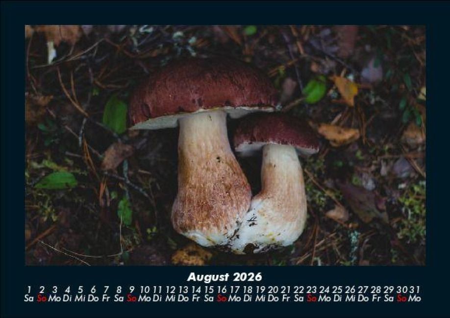 InsideView 12