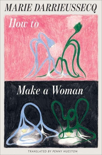 How to Make a Woman - Marie Darrieussecq