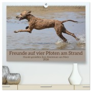 Cover-Bild zum Titel 'Freunde auf vier Pfoten am Strand (hochwertiger Premium Wandkalender 2026 DIN A2 quer), Kunstdruck in Hochglanz' von 'Gerhard Bittner'