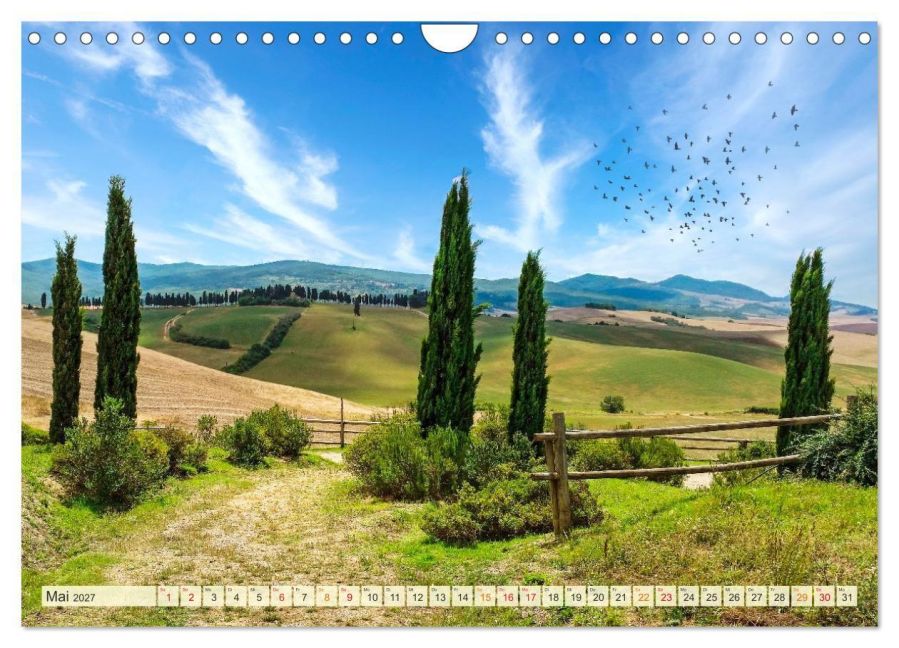 InsideView 10
