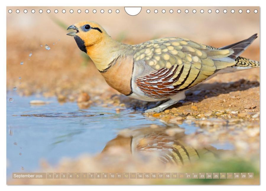 InsideView 14