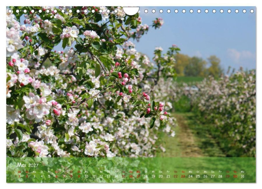 InsideView 10