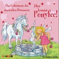 Cover-Bild zum Titel 'Hier kommt Ponyfee (12): Das Geheimnis des magischen Brunnens' von 'Barbara Zoschke'
