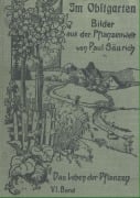 Cover-Bild zum Titel 'Im Obstgarten' von 'Paul Säurich'
