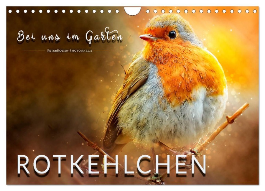 Bei uns im Garten - Rotkehlchen (Wandkalender 2025 DIN A4 quer), CALVENDO Monatskalender - Peter Roder