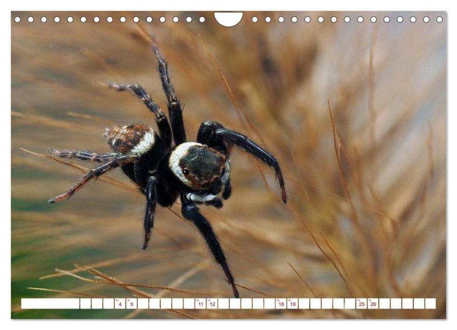 InsideView 12