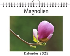 Cover-Bild zum Titel 'Magnolien' von 'Mia Hoffmann'